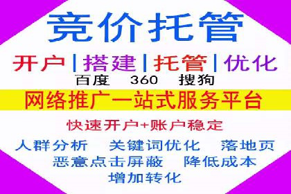 网络推广与竞价优化成功案例